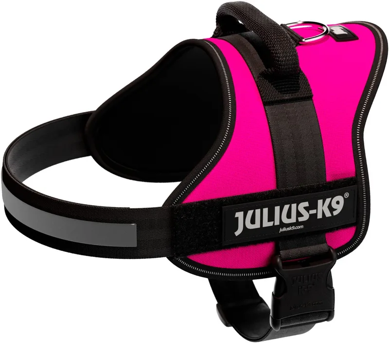 IDC Powertuig - Hondentuig - Maat 0 - M - Fuchsia de Julius-K9 en Bleu – photo produit