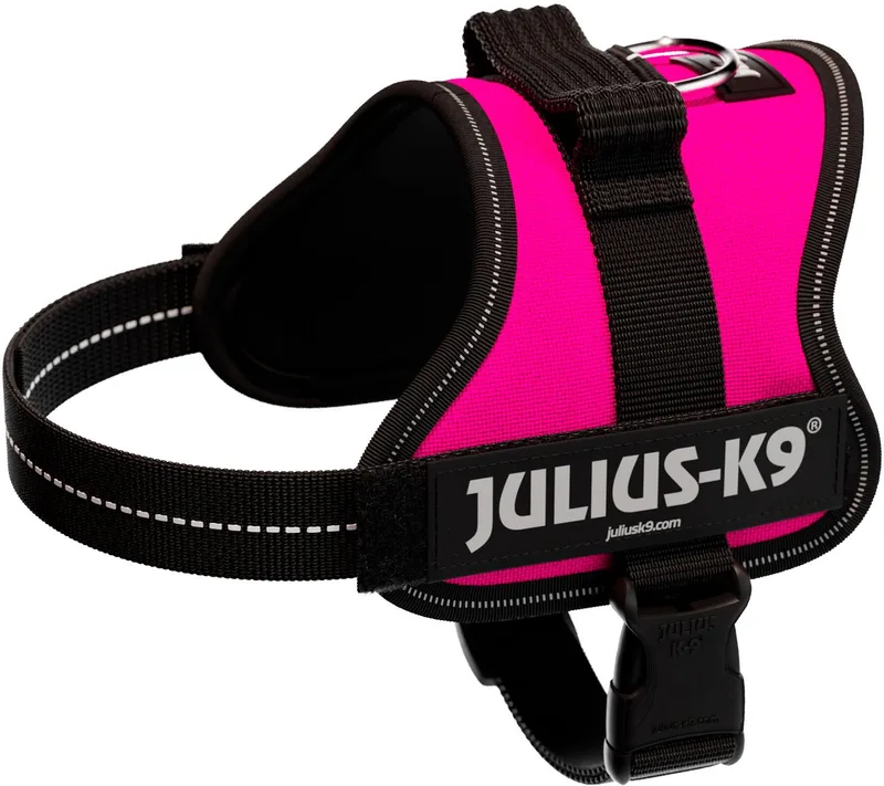 IDC Powertuig - Hondentuig - Mini - S - Fuchsia de Julius-K9 en Bleu – photo produit
