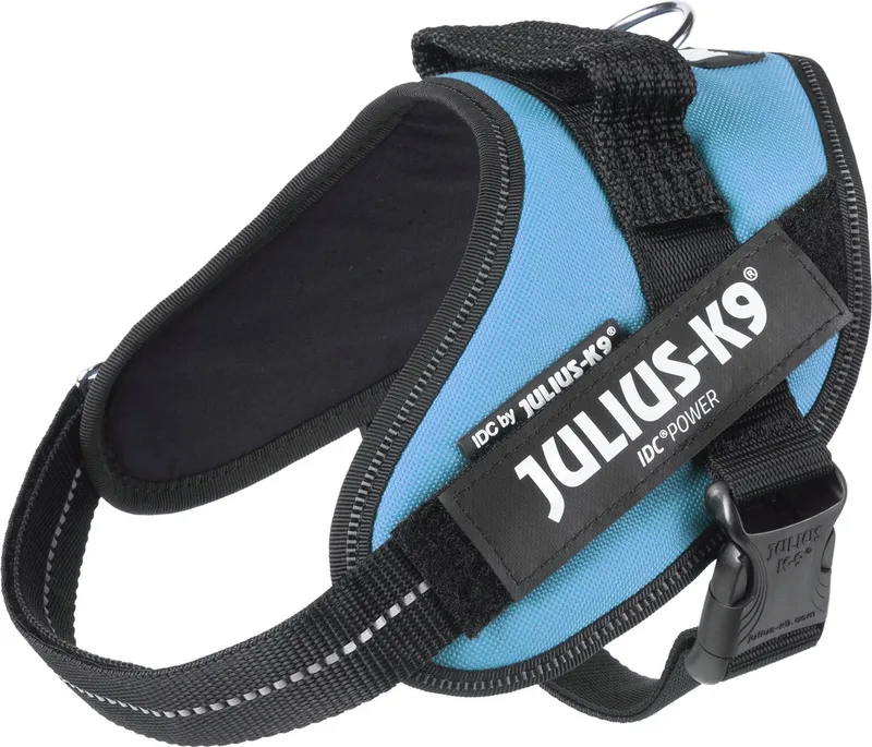 IDC Powertuig - Hondentuig - S - Mini - Azuurblauw von Julius-K9 in Aquamarine – Produktfoto