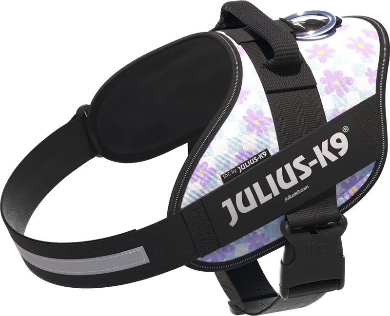 IDC Powertuig - Hondentuig - XL - Maat 2 - Cartoon von Julius-K9 in Hellblau – Produktfoto