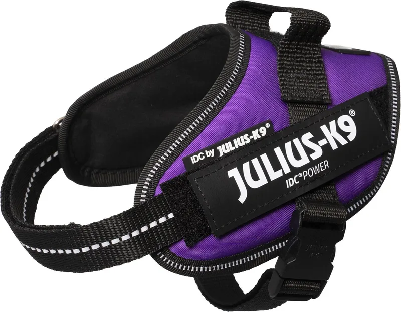 IDC Powertuig - Hondentuig - XS - Mini-Mini by Julius-K9 in Dark Purple – product photo