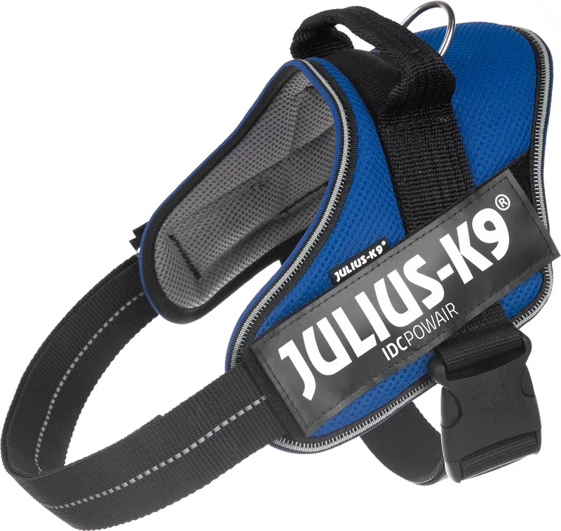 IDC®Powair-tuig, L - maat 1 by Julius-K9 in Blue – product photo