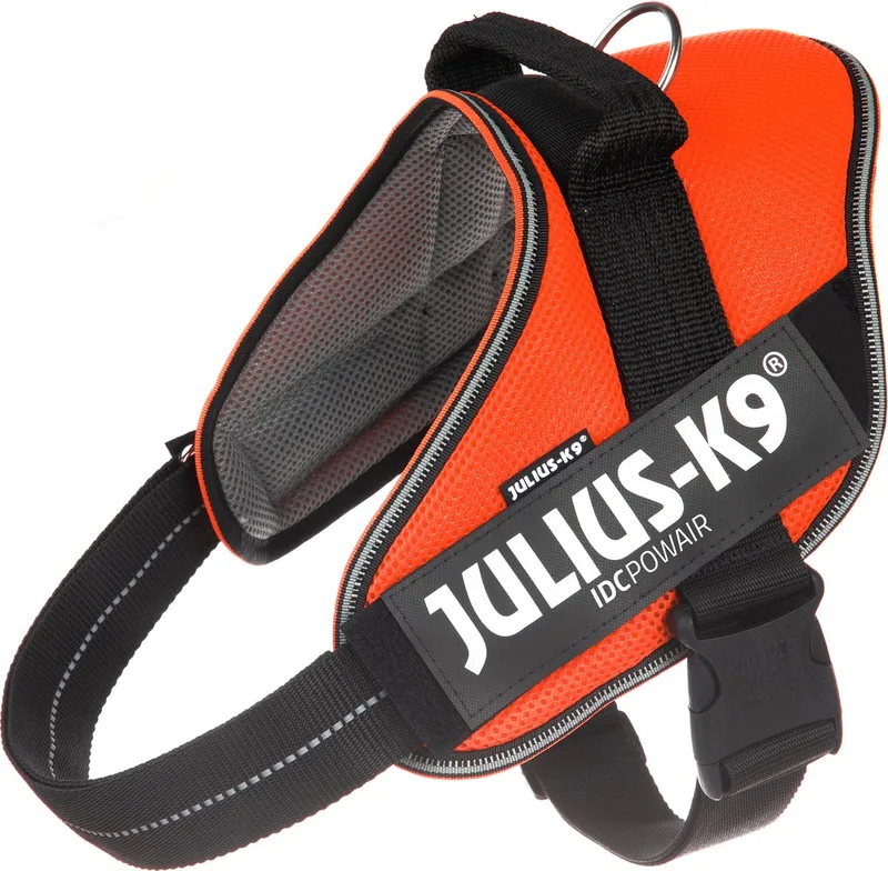 IDC®Powair-tuig, XL - maat 2 de Julius-K9 en Orange – photo produit