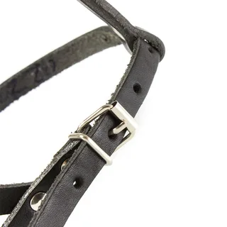 Lightweight Leather Medium Poodle Mini Schnauzer Muilkorf van Julius-K9 – productfoto 6 van 6