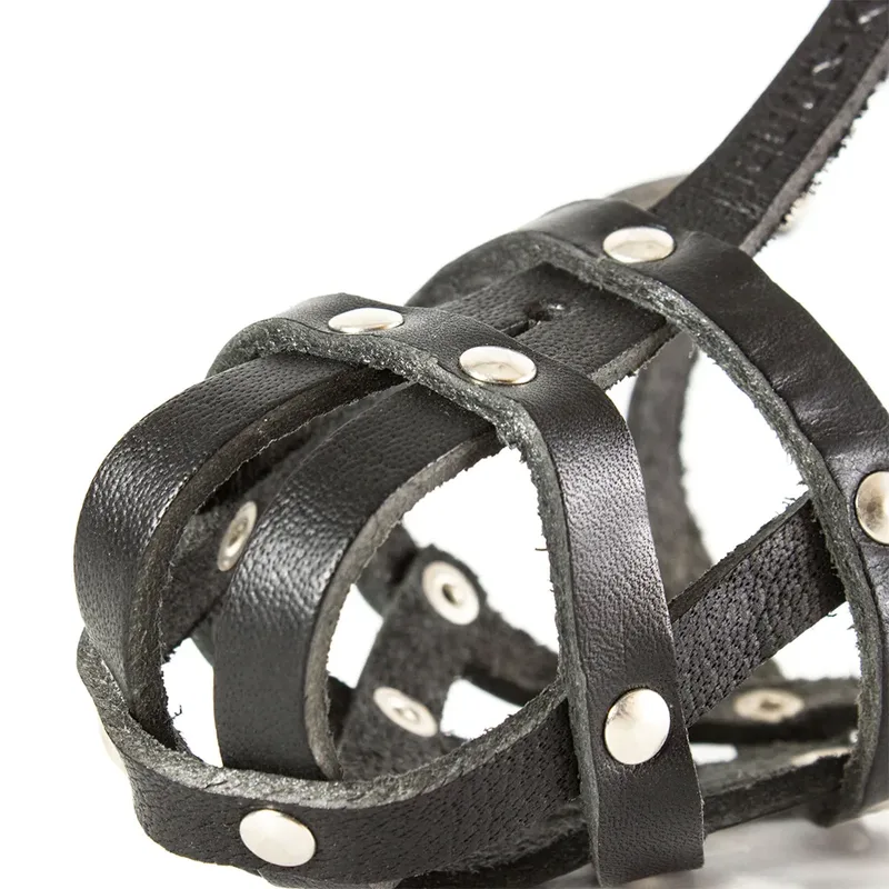 Lightweight Leather Medium Poodle Mini Schnauzer Muilkorf van Julius-K9 – productfoto 2 van 6