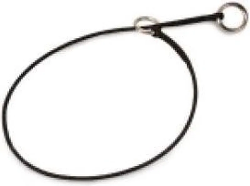 Training Halsband 75CM by Julius-K9 in Black – product photo