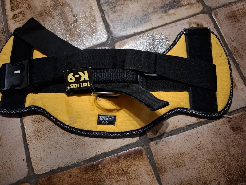 tuig size 3 zonder label de Julius-K9 en Jaune – photo produit