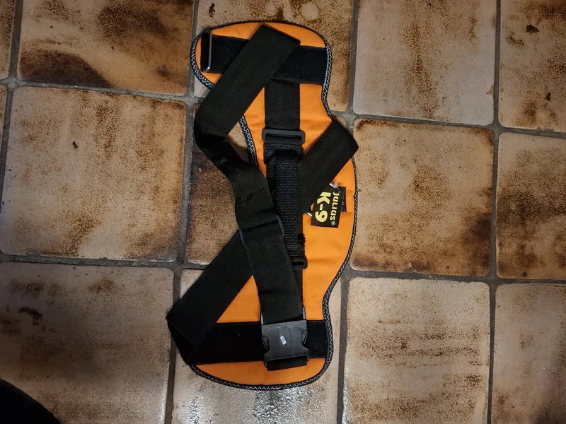 tuig size 3 zonder label fra Julius-K9 i Orange – produktbillede