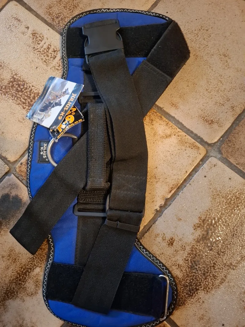 tuig zonder label size 3 van Julius-K9 in Blauw – productfoto