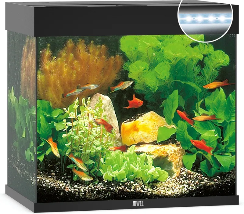 Aquarium Lido 120 Led - 61x41x58 cm - 120 L von Juwel in Schwarz – Produktfoto