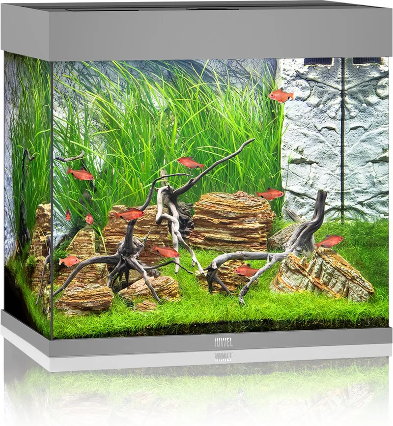 Aquarium Lido 120 Led 61x41x58 cm - Aquaria - Ca. 120 L fra Juwel i Grå – produktbillede