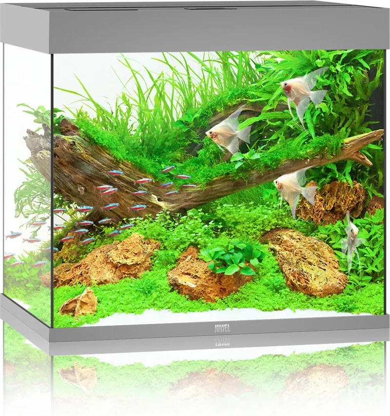 Aquarium Lido 200 Led 71x51x65 cm - Aquaria - Ca. 200 L de Juwel en Gris – photo produit