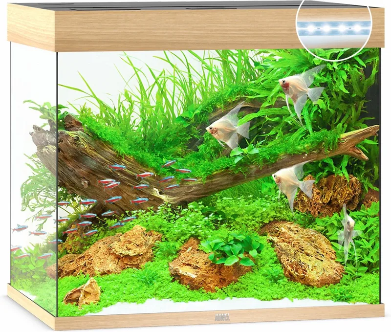 Aquarium Lido 200 Led 71x51x65 cm Ca. 200 L by Juwel in Licht Hout – product photo