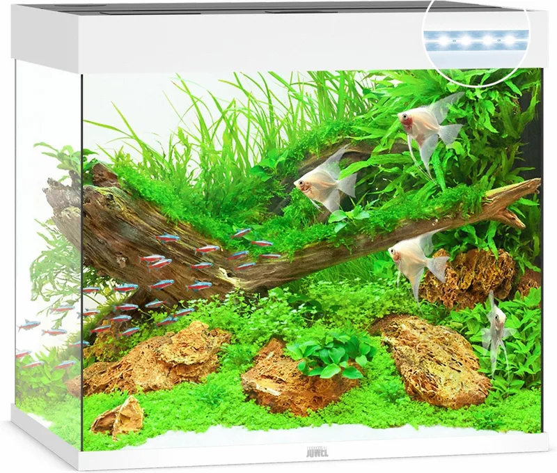 Aquarium Lido 200 Led 71x51x65 cm Ca. 200 L de Juwel en Blanc – photo produit