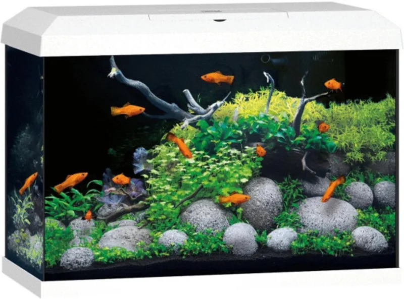 Aquarium Primo 70 2.0 62x32x41 cm - Aquaria - Ca. 70 L by Juwel in Black – product photo