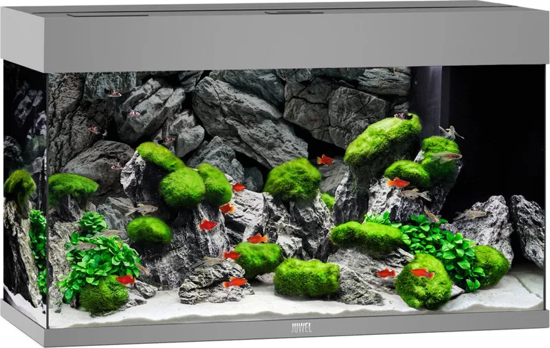 Aquarium Rio 125 Led 80x35x50 cm - Aquaria - Ca. 125 L by Juwel in Grey – product photo