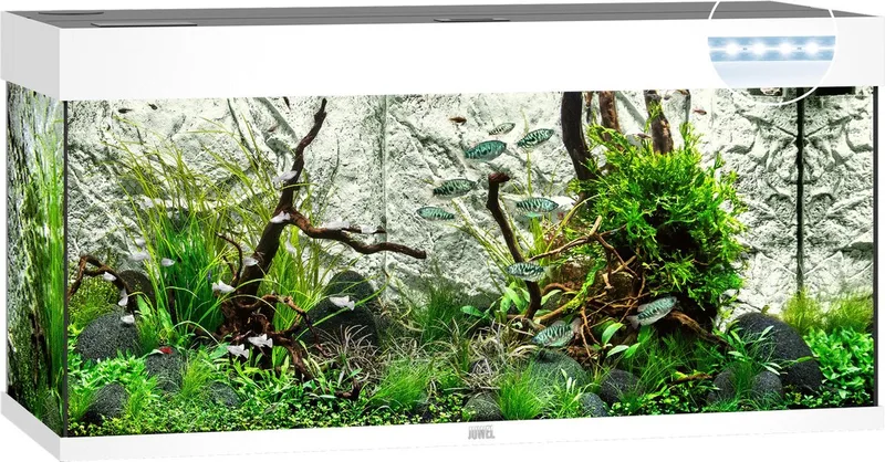 Aquarium Rio 180 Led 101x41x50 cm - Aquaria - Ca. 180 L von Juwel in Weiß – Produktfoto