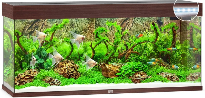 Aquarium Rio 240 Led 121x41x50 cm - Aquaria by Juwel in Donker Hout – product photo