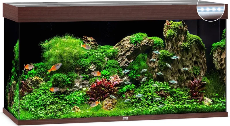 Aquarium Rio 350 Led 121x51x66 cm - Aquaria von Juwel in Donker Hout – Produktfoto