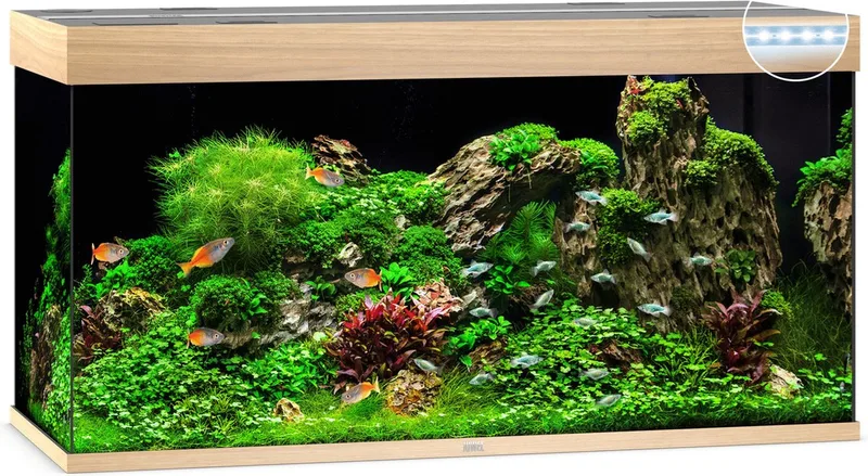 Aquarium Rio 350 Led 121x51x66 cm - Aquaria van Juwel in Licht Hout – productfoto