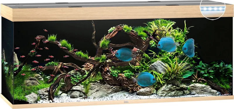 Aquarium Rio 450 Led 151x51x61 cm - Aquaria von Juwel in Licht Hout – Produktfoto