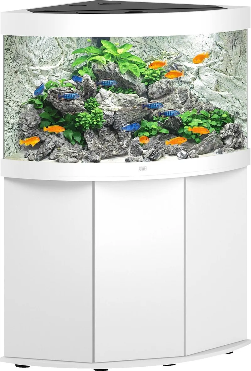 Aquarium Trigon 190 Led 70x70x60 cm - Aquaria - Ca. 190 L de Juwel en Blanc – photo produit