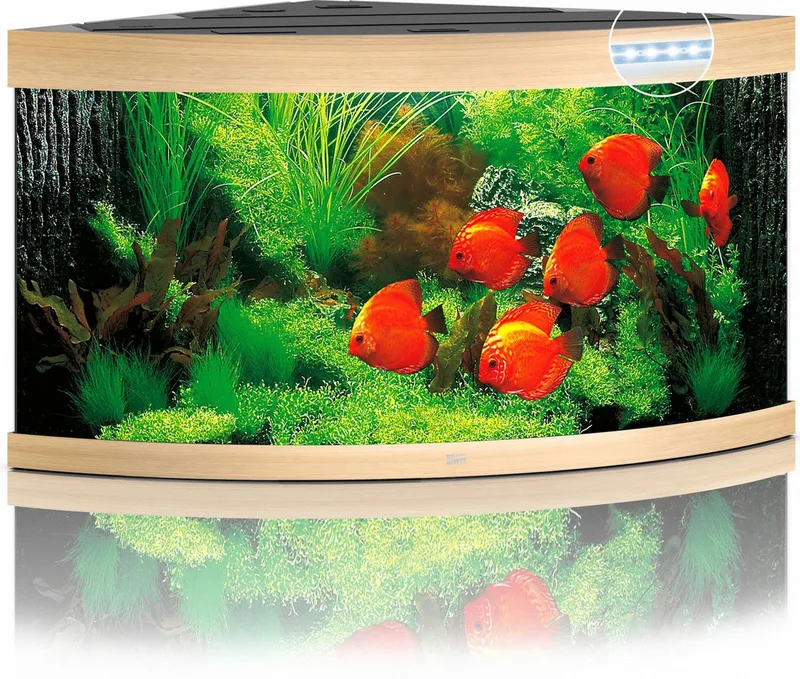 Aquarium Trigon 350 Led 123x87x65 cm - Aquaria de Juwel en Licht Hout – photo produit