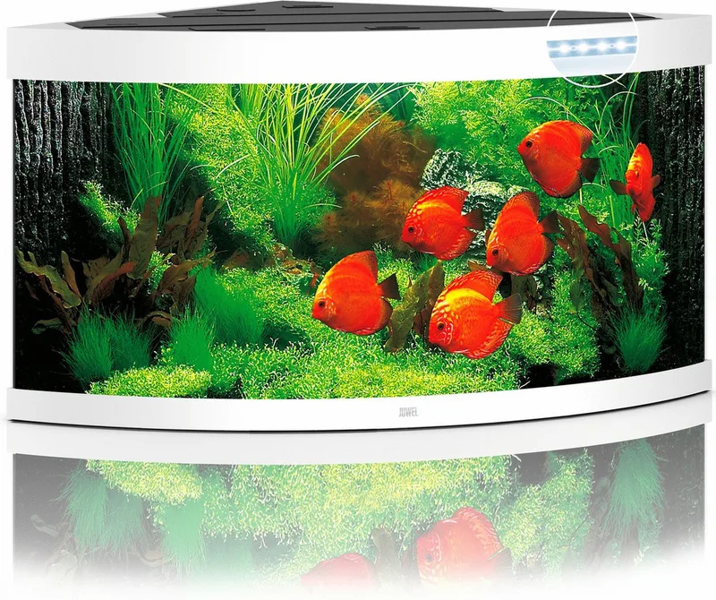Aquarium Trigon 350 Led 123x87x65 cm - Aquaria by Juwel in White – product photo
