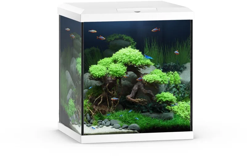 Aquarium Vio Cube 54 41x36x47 cm - Aquaria - Ca. 54 L de Juwel en Blanc – photo produit