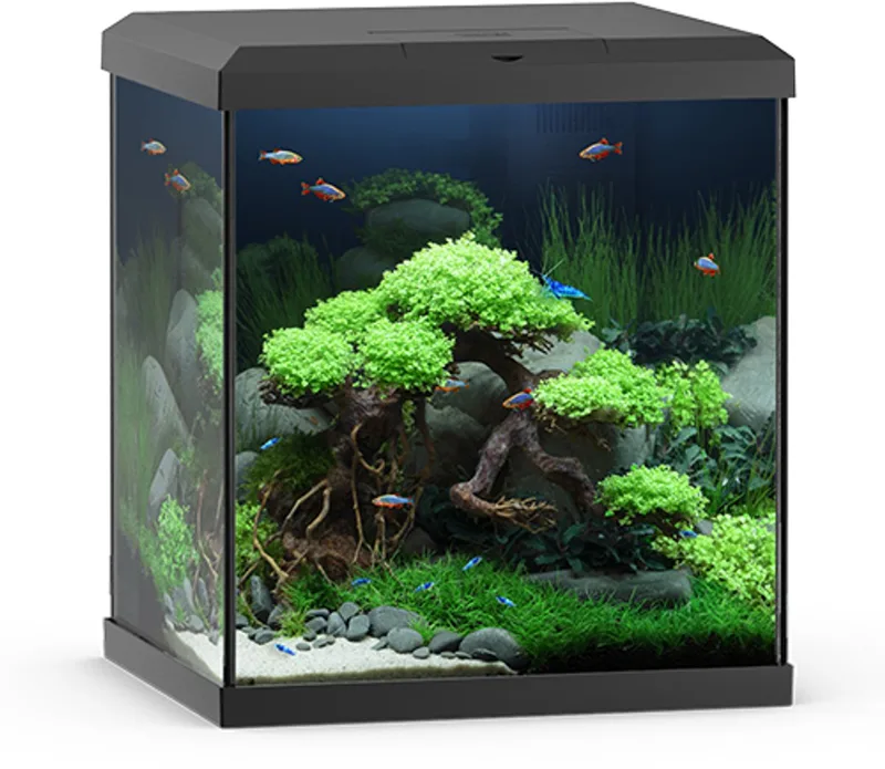 aquarium vio cube 54 met filter - 54 liter - 41 x 36 x 47 cm by Juwel in Black – product photo