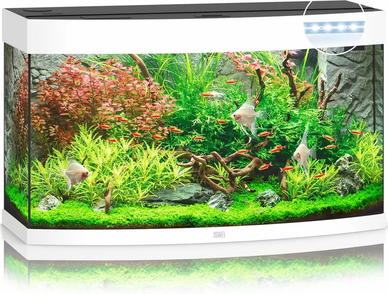 Aquarium Vision 180 Led 92x41x55 cm - Aquaria - Ca. 180 L by Juwel in White – product photo