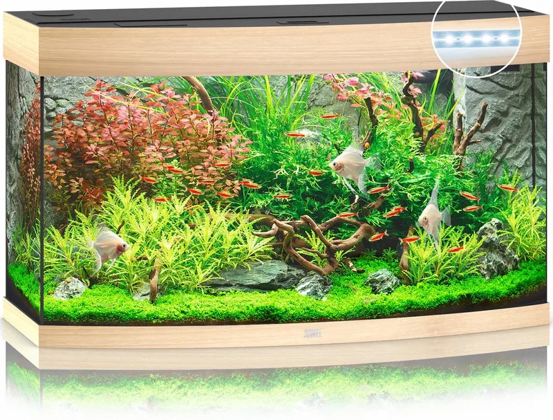 Aquarium Vision 180 Led 92x41x55 cm - Aquaria by Juwel in Licht Hout – product photo