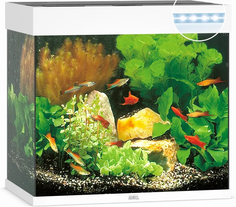 Lido 120 LED Aquarium - 120L - 61 x 41 x 58 cm de Juwel en Blanc – photo produit