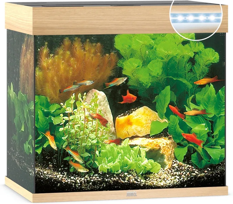 Lido 120 LED Aquarium - Houtkleur - 120L - 61 x 41 x 58 cm von Juwel in Licht Hout – Produktfoto