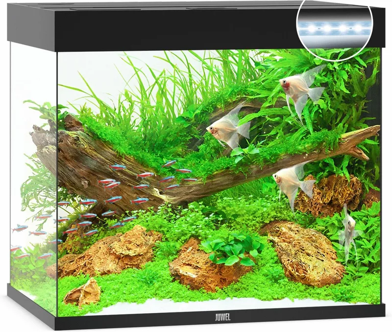 Lido 200 LED Aquarium - 200L - 71 x 51 x 65 cm by Juwel in Black – product photo