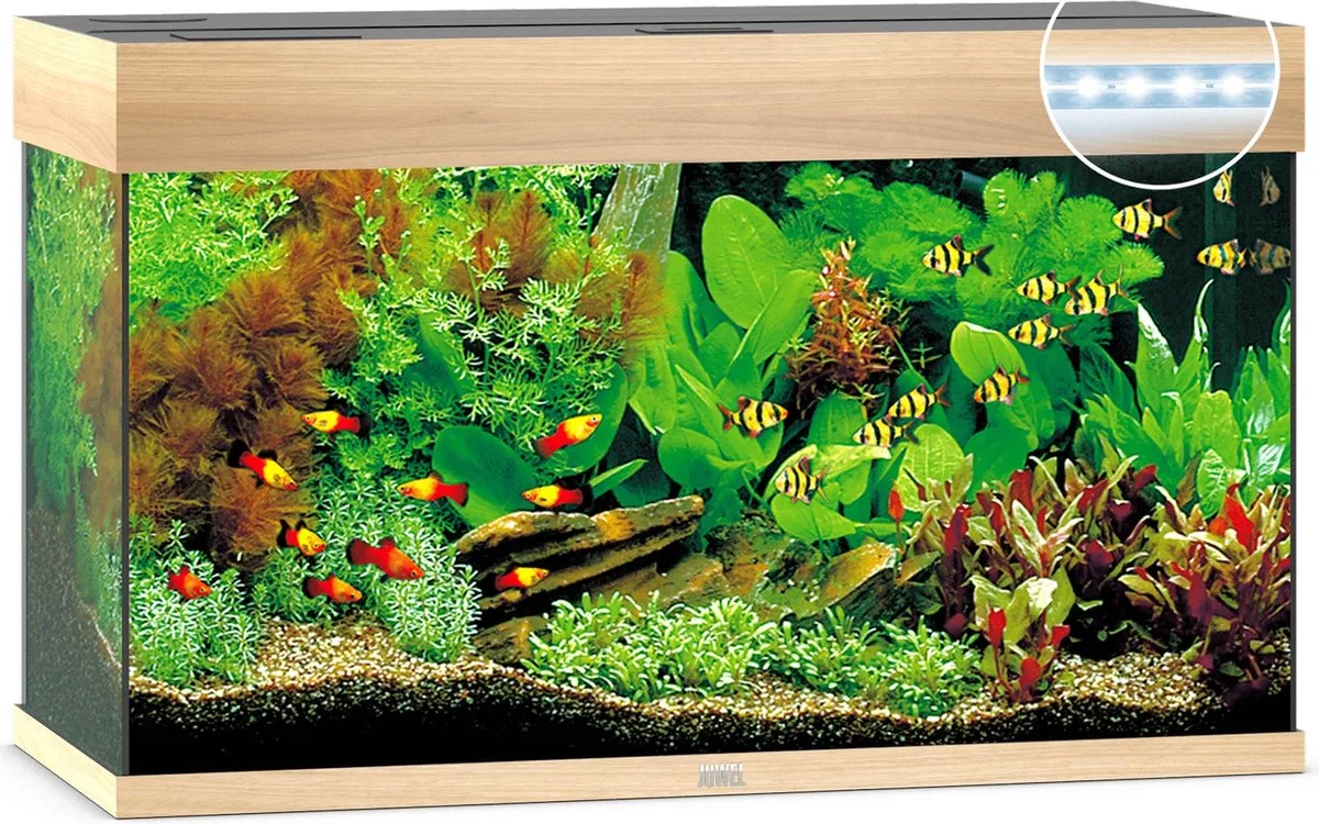 Rio 125 LED Aquarium - Houtkleur - 125L - 80 x 35 x 50 cm de Juwel en Licht Hout – photo produit