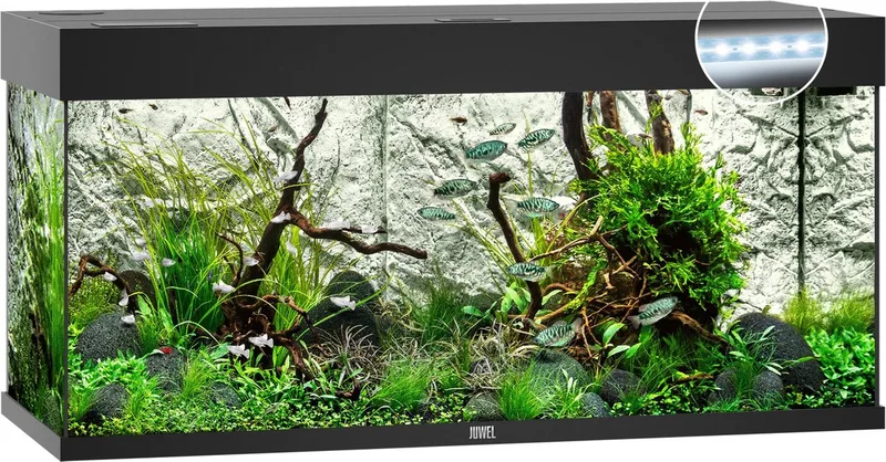 Rio 180 LED Aquarium - 180L - 101 x 41 x 50 cm van Juwel in Zwart – productfoto