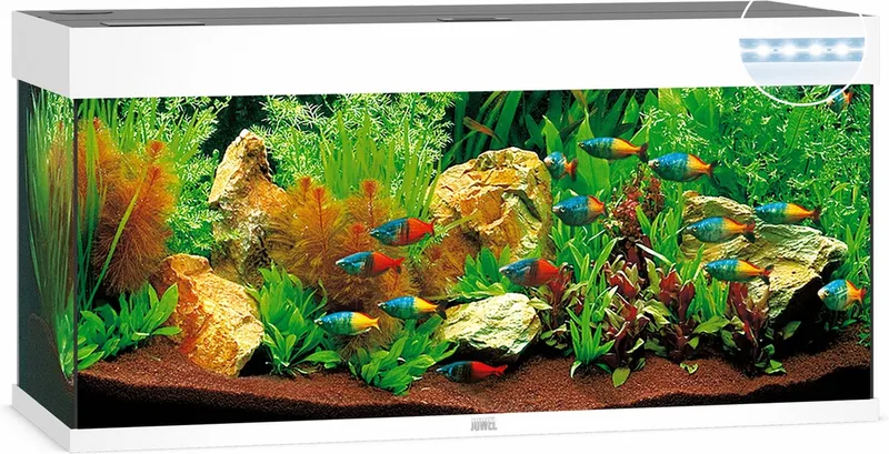 Rio 240 Led Aquarium - 121x41x50 cm - 240L von Juwel in Weiß – Produktfoto