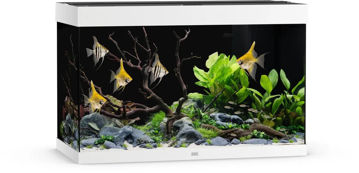 Rio 290 Led - Aquarium - 101x51x66 cm de Juwel en Blanc – photo produit