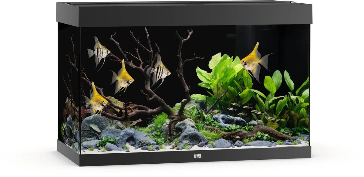 Rio 290 Led - Aquarium - 101x51x66 cm fra Juwel i Sort – produktbillede