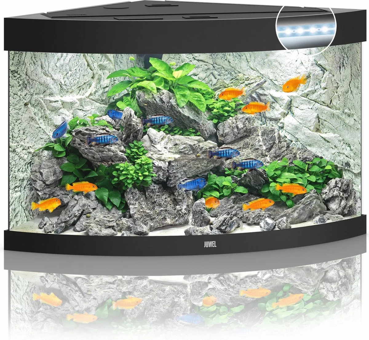 Trigon 190 Aquarium - 190L - 70 x 70 x 60 cm by Juwel in Black – product photo