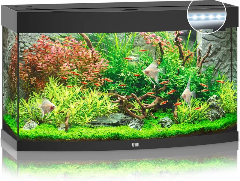 Vision 180 LED Aquarium - 180L - 92 x 41 x 55 cm von Juwel in Schwarz – Produktfoto