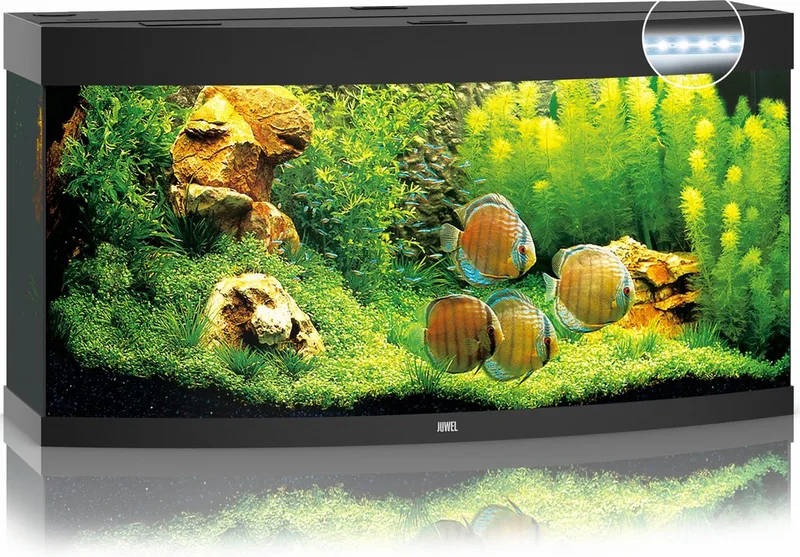 Vision 260 Aquarium - 260L - 121 x 46 x 64 cm de Juwel en Noir – photo produit