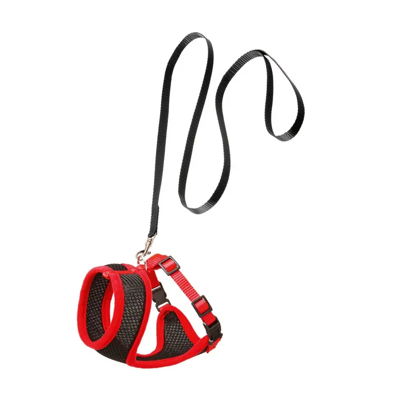 And Leash Kattenharnas by Karlie – product photo
