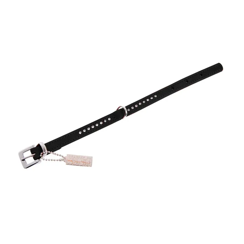 Buffalo Diamants 1 Row Hondenhalsband von Karlie – Produktfoto