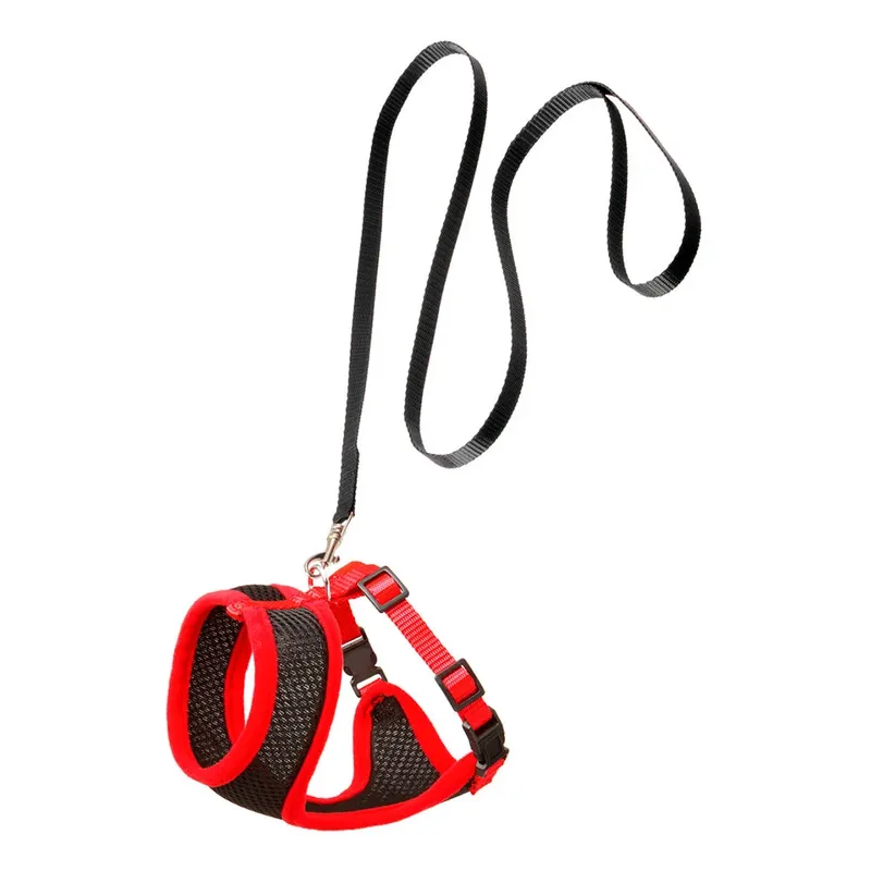 Harnais Et Laisse Pour Chat by Karlie – product photo