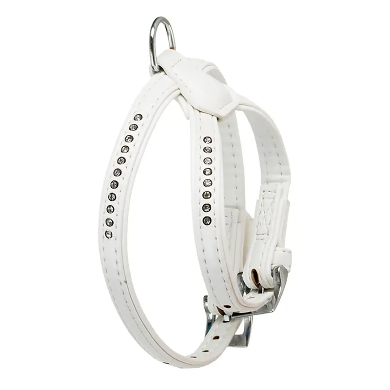 Harnais Pour Chien Monte Carlo by Karlie – product photo