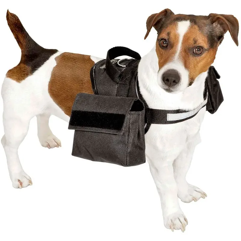 Harnais Pour Chien Xtreme Art Sportiv by Karlie – product photo