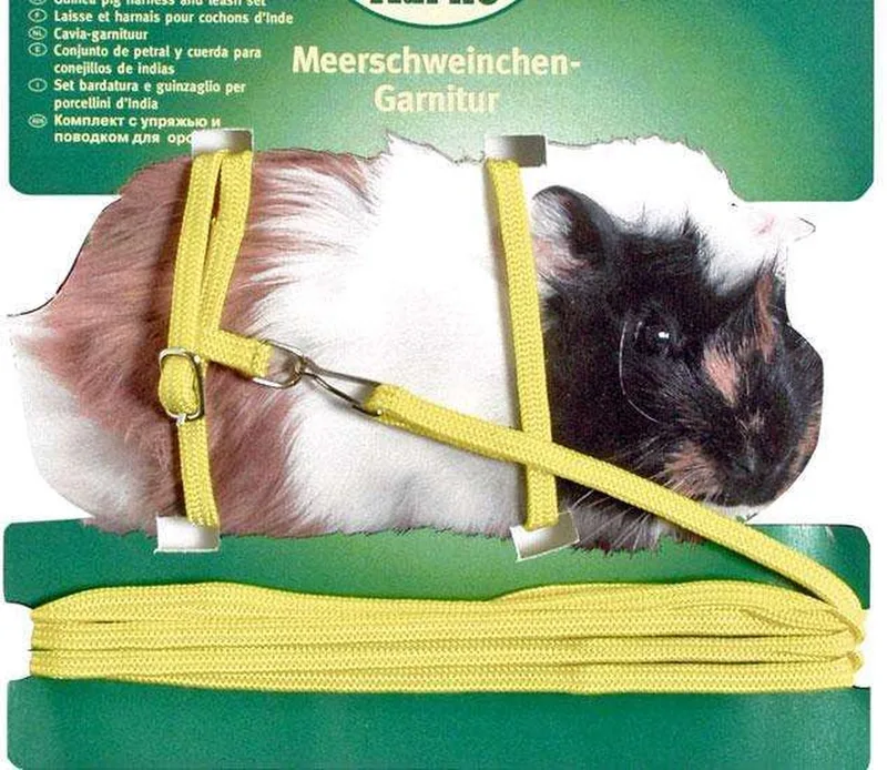 harnas en leiband voor cavia's by Karlie in Yellow – product photo