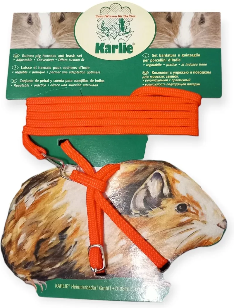 harnas en leiband voor cavia's de Karlie en Orange – photo produit